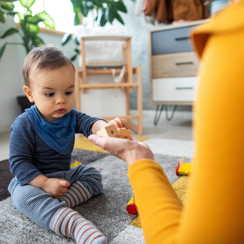 La crisis de los 8 meses - Mustela España - 1