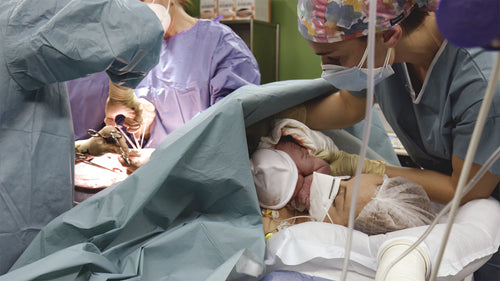 Parir: el Documental – Por Claudia Reig, la directora - Mustela España - 1