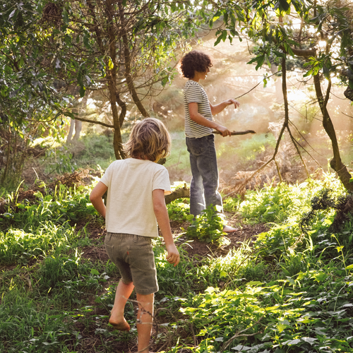 niños jugando en el bosque - Mustela España - 1