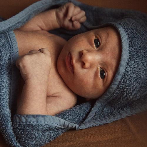 Un bebé tumbado recubierto con una toalla azul. - Mustela España - 1
