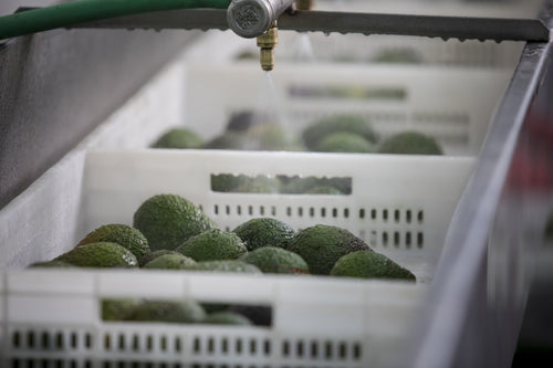 2023_MULTI_PURPOSE_BALM_V2_PERU_CAMPAIGN_PICTURES_FACTORY_18-min - Mustela España - 1