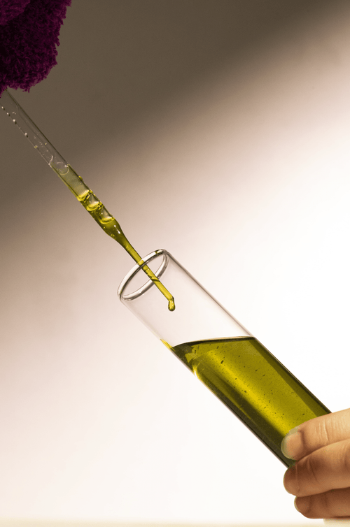 2024_STELATOPIA_-V2-CAMPAIGN_PHOTOS_INGREDIENTS_AVOCADO-OIL-min - Mustela España - 1