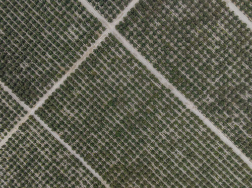 ABOUT-US_EN-SAVOIR-PLUS-SUR-MUSTELA_PHOTO-LIEN-NOS-ENGAGEMENTS - Mustela España - 1