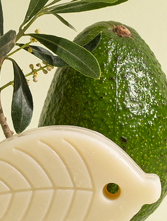 BLOC02_1 - Mustela España - 1