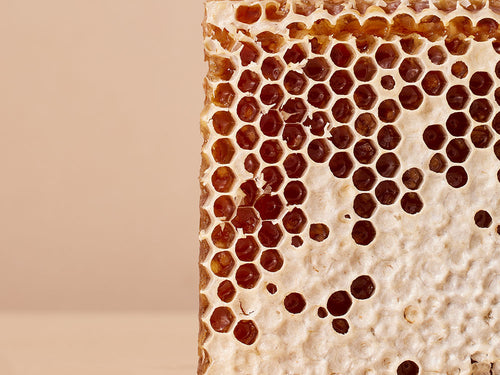 COLD_CREAM_1000X750_8059fcc9-b011-40f2-9a02-5823511c232d - Mustela España - 1