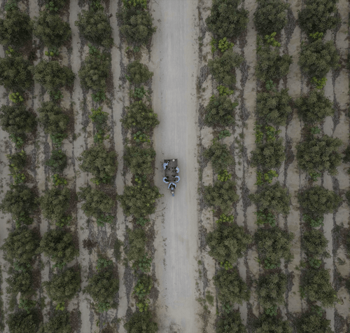 Champs-min_1 - Mustela España - 1