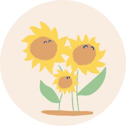 GIRASOL_4eb781e1-a6cb-499a-af55-5ab64f5087f3 - Mustela España - 1