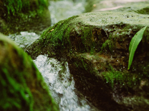 Mustela_Our_CSR_Commitments_Reduce_Water_Consumption - Mustela España - 1