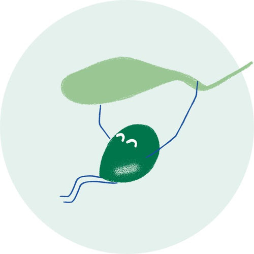 OLIVA_cb4e14fc-0550-41f3-b09e-57c3b443004c - Mustela España - 1