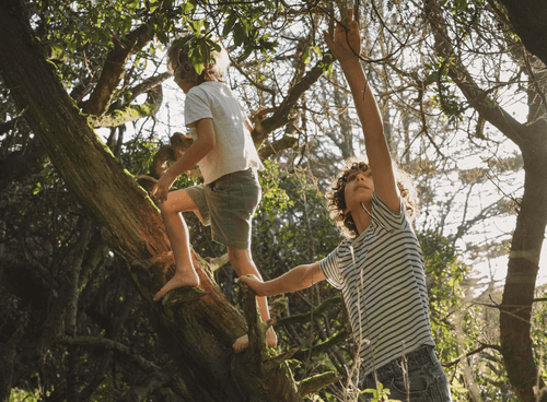 Repair-min_1 - Mustela España - 1