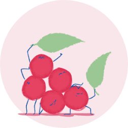 SCHISANDRA_c8bcdf43-2b97-4396-9c2f-05350d2755ec - Mustela España - 1