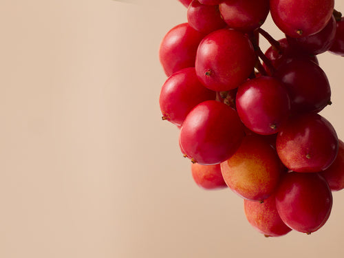 SHIZANDRA_HD - Mustela España - 1