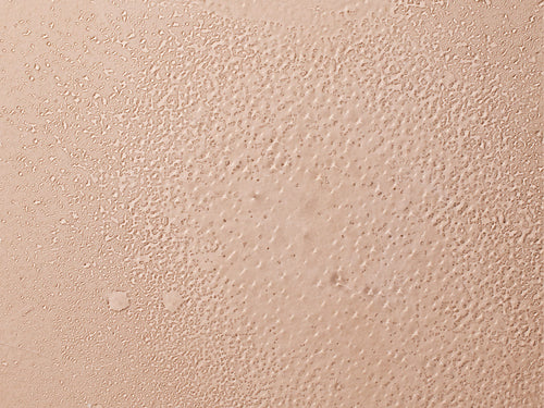 Textura agua para peinar refrescante. rollover - Mustela España - 2