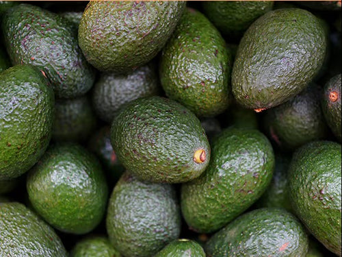 avocado_organic - Mustela España - 1