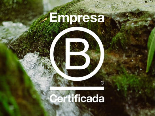 avocado_organic_2 - Mustela España - 1