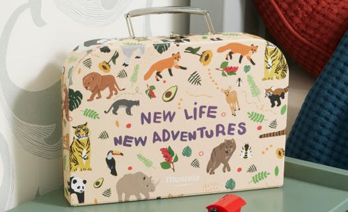 ¡Novedad! Accesorios 