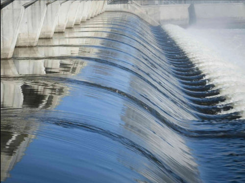 composition_et_production_3 - Mustela España - 1