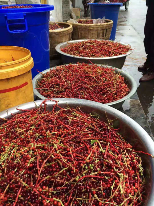 schisandra_how_to_use_2 - Mustela España - 1