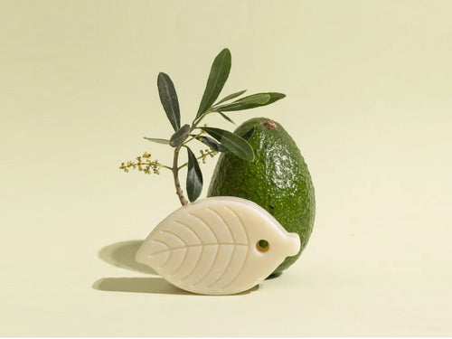 El champú sólido lleva aceite de aguacate Bio y aceite de oliva Bio - Mustela España - 5